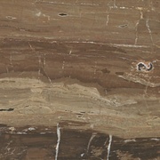 Напольная плитка Almera Ceramica Serene Cahir Brown